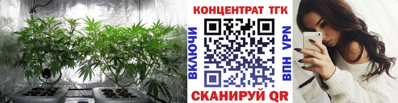 ТГК Wax  купить   Бутурлиновка 